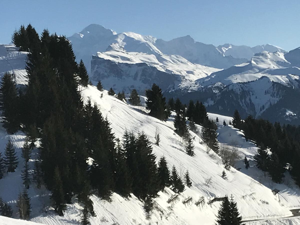 Residence Les Chardons Argentes Samoëns Eksteriør billede