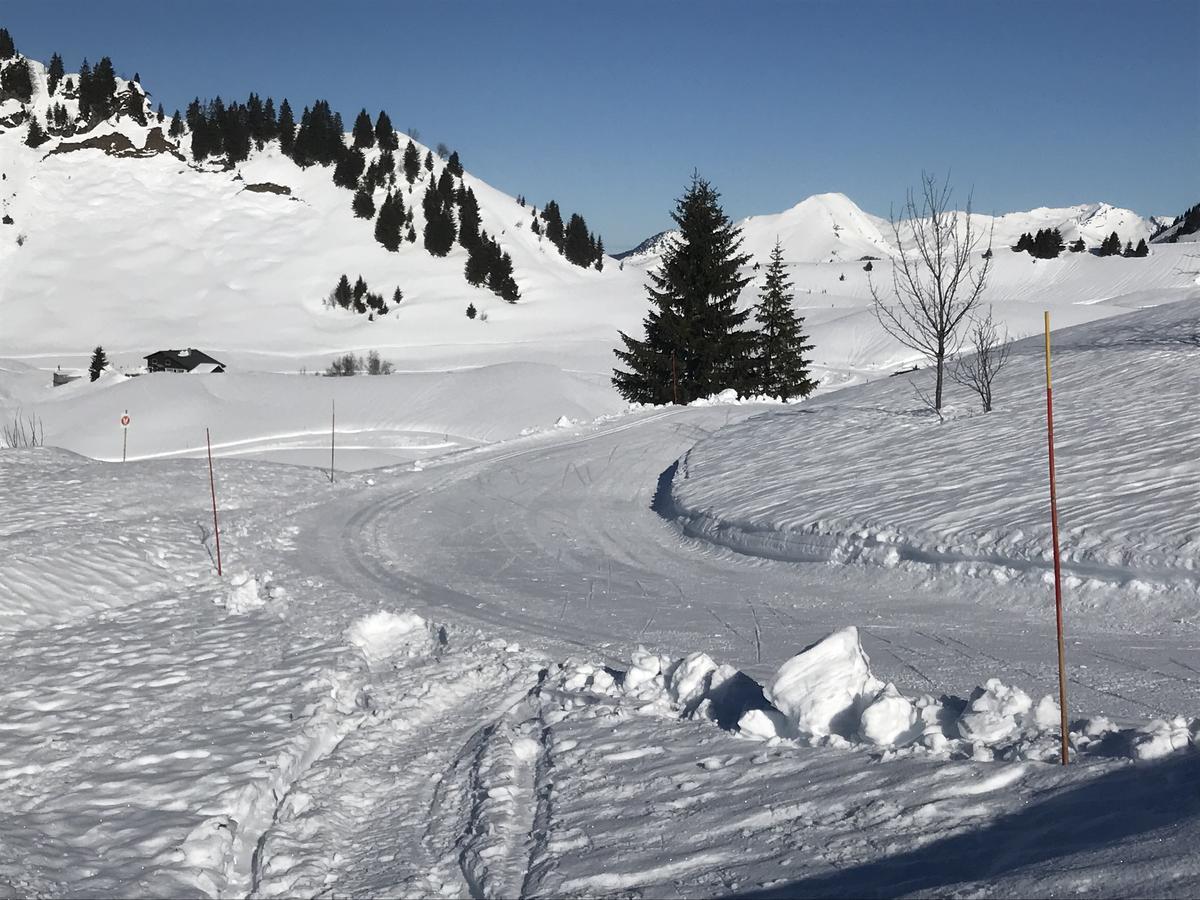 Residence Les Chardons Argentes Samoëns Eksteriør billede